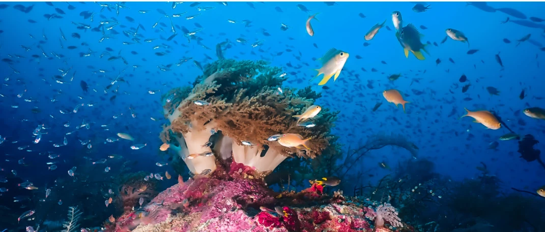 03. Praktik baik indikator 54