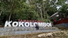 Program Kokolomboi Lestari di Desa Leme-Leme Darat Kecamatan Bungko, Kabupaten Banggai Kepulauan, Sulawesi Tengah